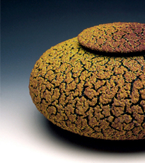 Lichen Urns by Randy O'Brien